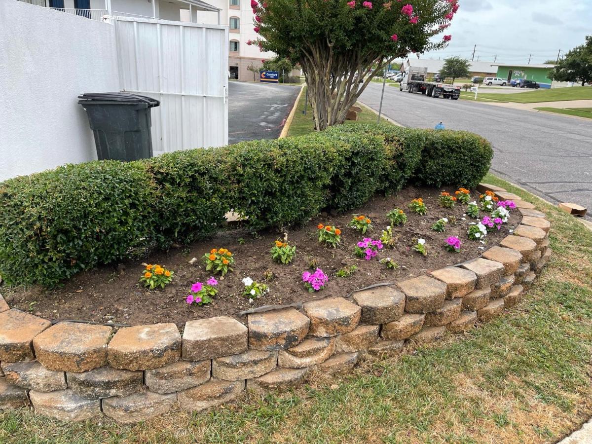 Motel 6 Denton, Tx - Unt Exterior foto